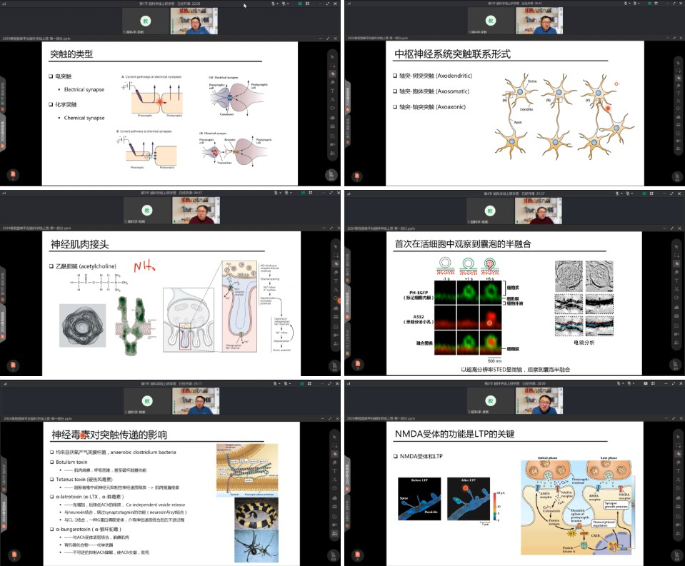 登峰平台脑科学线上研学营精彩课堂-登峰计划大学实验室开放活动