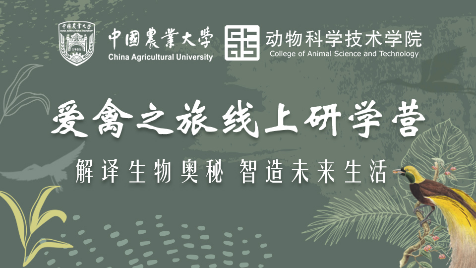 登峰计划-登峰平台-登峰计划大学实验室开放活动-2025年暑期登峰计划大学实验室活动-登峰活动-登峰计划大学活动