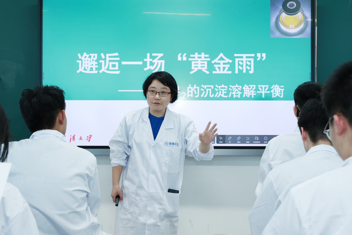 登峰计划-登峰平台-登峰计划大学实验室开放活动-北京登峰数智研究院-2026寒假登峰活动