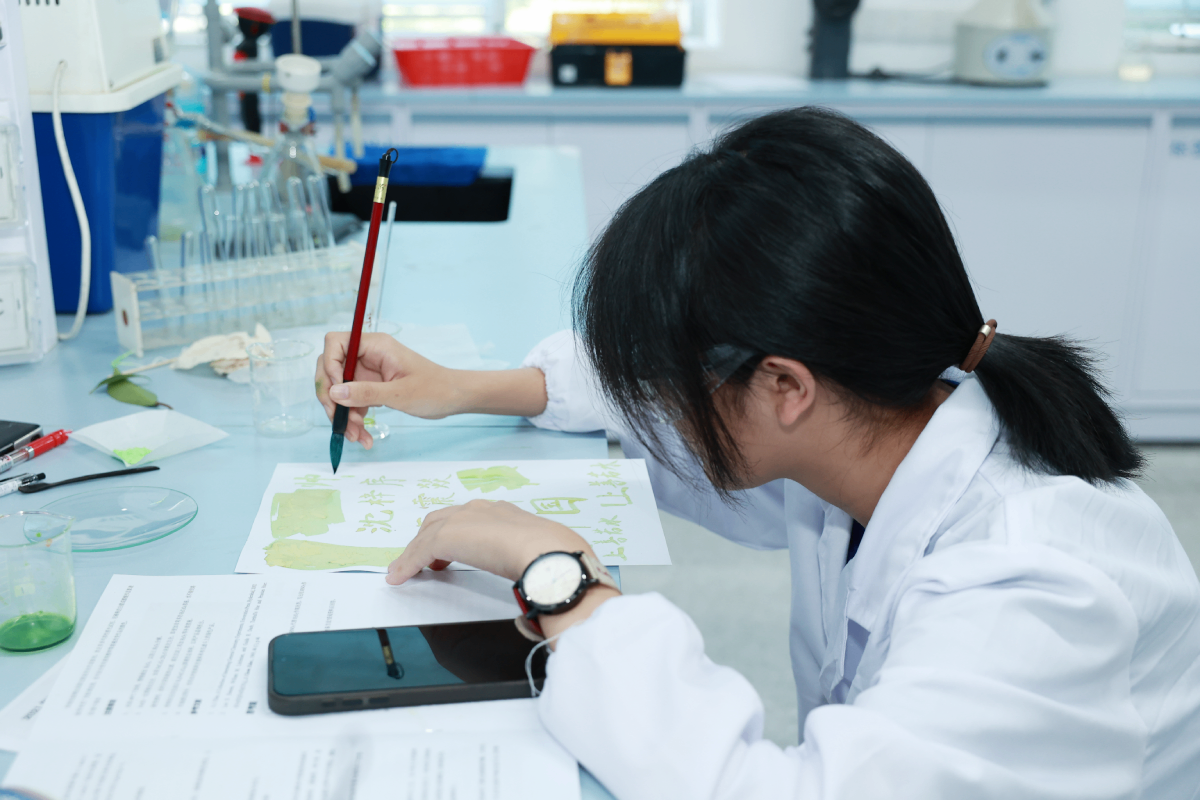 登峰计划-登峰平台-登峰计划大学实验室开放活动-北京登峰数智研究院-2026寒假登峰活动