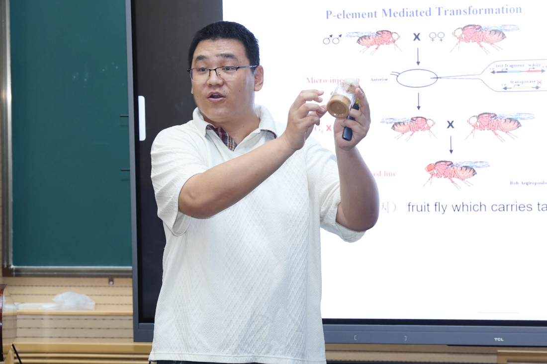 登峰计划-登峰平台-登峰计划大学实验室开放活动-北京登峰数智研究院-2026寒假登峰活动