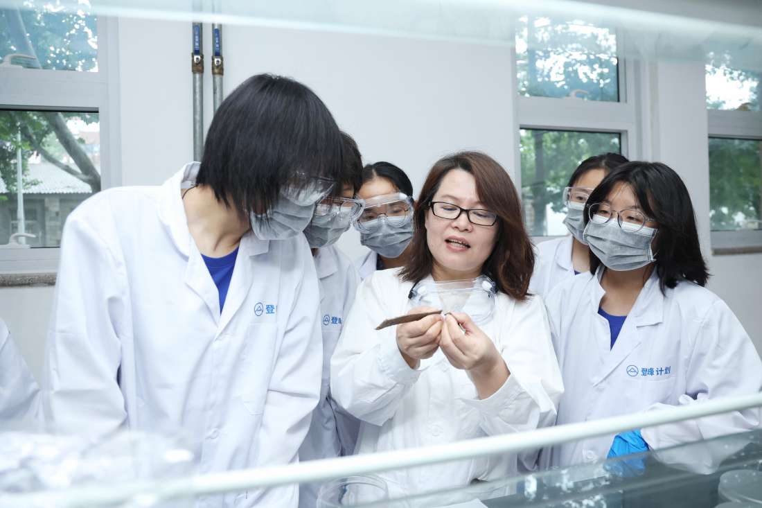 登峰计划-登峰平台-登峰计划大学实验室开放活动-北京登峰数智研究院-2026寒假登峰活动